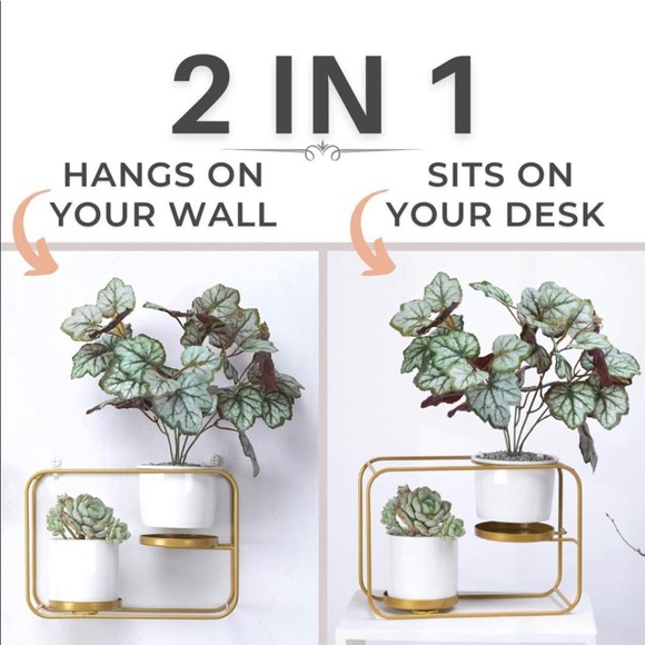 Wall Planters Modern Design Wall Plant Holder - Picture 3 of 7